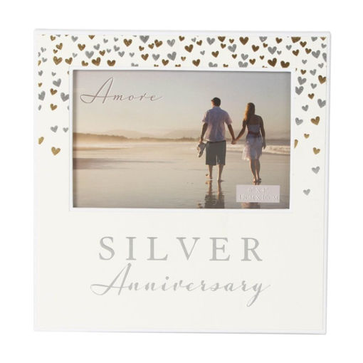 Picture of SILVER ANNIVERSARY FRAME